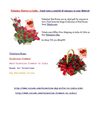 Valentine Flowers to India – Send roses a symbol of romance to your Beloved