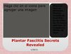 Plantar Fasciitis Treatment At Home - Exercises for Plantar Fasciitis 