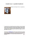 Franchise Lawyer – a specialist in franchise law