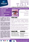 Mastère Spécialisé "Traitement Décisionnel de l'information appliqué à l'Intelligence Economique" - plaquette...