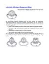 Specialty of Designer Engagement Rings