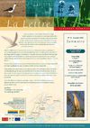 Lettre de la Camargue Gardoise NATURA 2000