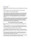 Email Counseling