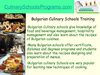 How to Find Best Bulgarian Gastronomic Art Schools