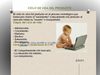 Ciclo de Vida del Producto