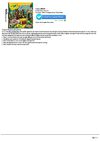 Crayola Treasure Adventures