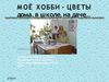 Цветы в кабинете, дома, на даче!