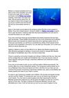 Why You Should Get a Belize Real Estate Property and Move Here