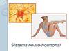 Sistema neuro-hormonal