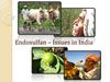 Endosulfan- Indian Issues 