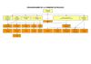 organigramme