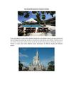 How Should We Spend Our Vacation in Florida?