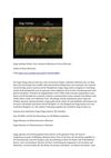 Saiga Antilope Wildnis Tiere Animals SelMcKenzie Selzer-McKenzie