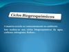 Ciclos Biogeoquímicos