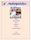 Adopción - Derecho Civil 1