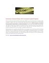 Foreclosures