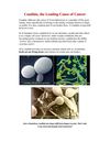 Yeast Infection Conspiracy - Candida Albicans, the Leading Cause of Cancer