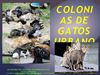 COLONIAS DE GATOS URBANOS. PROBLEMA SOCIAL Y SANITARIO