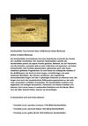 Sandlaufkäfer Tiere Animals Natur SelMcKenzie Selzer-McKenzie