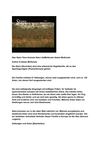 Star Stare Tiere Animals Natur SelMcKenzie Selzer-McKenzie