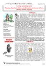 Toulouse7notrequartier journal n°33