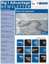 Big I Advantage Newsletter March 2011