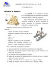 Propuesta Proyecto CATAPULTA