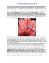 Diamond Shopping in Houston a Guide