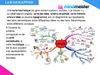 Le mind mapping