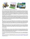 Luxury Tours India: Discover Exhilarating And Wonderful Land