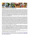 Enjoy Memorable Holidays with Tour Packages to India