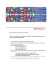 actividad
