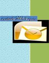Outlook 2003 Repair