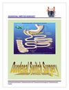 Duodenal switch surgery