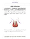 Thyroid Supplements