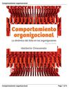 Comportamiento Organizacional