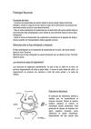 Fisiología Neuronal