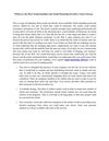 Which are the Most Needed Qualities that Email Marketing Providers Need to Possess
