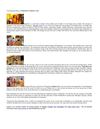 Visit Stunning Palaces of Rajasthan’s Majestic Land