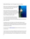 Belize Real Estate: Let Us Convince You to Live Here