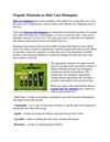 Organic_Elements_as_Hair_Loss_Sh