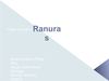Ranuras de expasion
