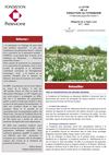 Lettre Haute-Loire n°7 -2010