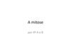 A mitose
