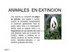 Animales en extinción