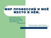 Мир профессий и моё место в нём