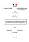 Rapport-IGF-avril-2011