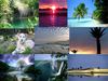 Diapo environnement