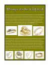 Rings to be Gifted