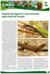 Boletim ICMBio em Foco nº 142‏